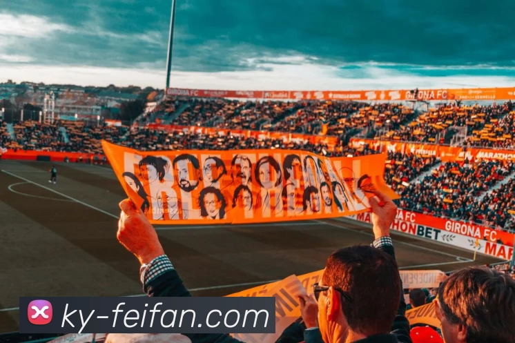 非凡娱乐平台生态图